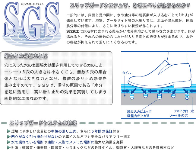 Sgs Srip Gard System